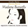 Madame Butterfly, Un Bel Di