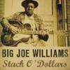 Big Joe Williams