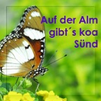 Ein Abend auf der Heidi