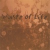 Waste of Life