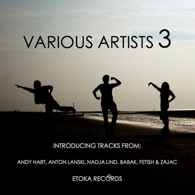 Various Artists pt.3