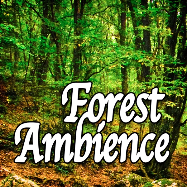 Forest Ambience (Nature Sounds)