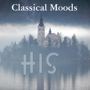 Symphony No. 5 in D Minor: II. Allegretto