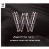 Wantok Vol. 1 - Sounds of Australasia and Melanesia