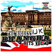The Biggest UK Bhangra Hits, Vol. 3