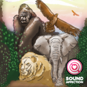 Fishing Reel (Sound Effect) song art