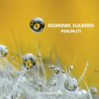 Schnertuppen Regen — Dominik Eulberg