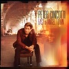 Peter Cincotti - Cinderella Beautiful