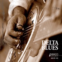 Delta Blues - Verschiedene Interpret:innen