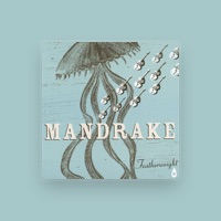 Mandrake