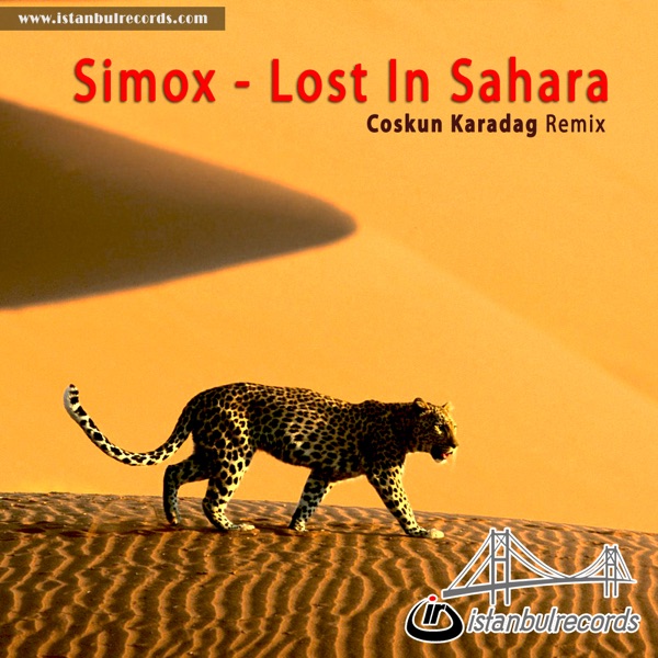 Lost In Sahara - Single