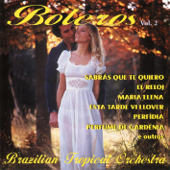 Cover art for Boleros, Vol. 2 by Brazilian Tropical Orchestra
