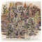 Mariah - Cass McCombs lyrics