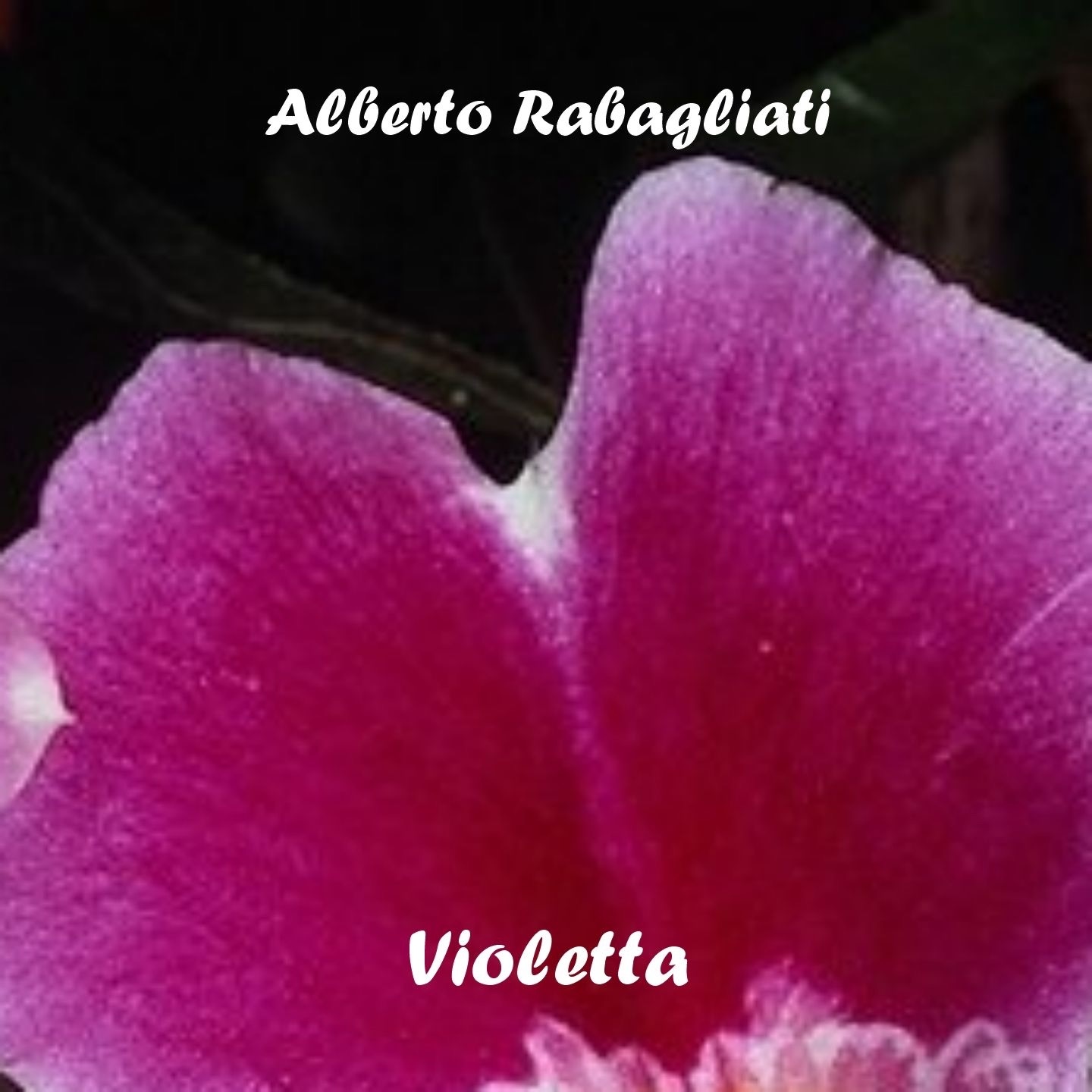 Violetta