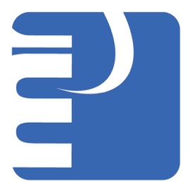 Mesmerise (Original Mix) Danism