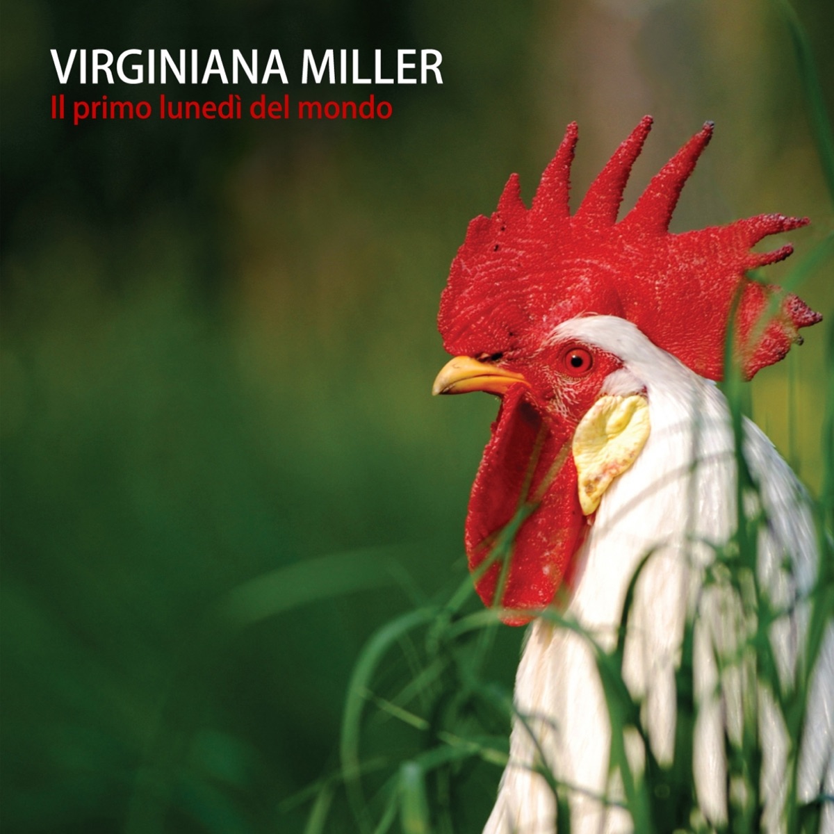 La verità sul tennis - Album di Virginiana Miller - Apple Music