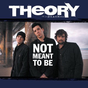 Not Meant to Be (Radio Mix) - Single