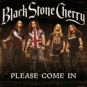 Please Come In (Radio Edit) - Single