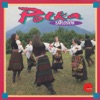 20 Polka Hits Vol 2