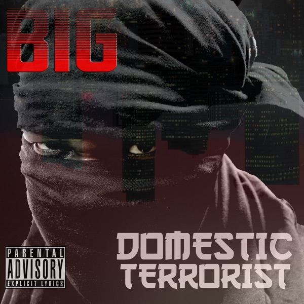 Domestic Terrorist