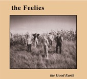 The Feelies - The Good Earth