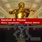 Carnival In Vienna