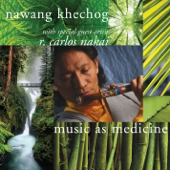 Music as Medicine