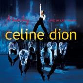 Céline Dion - Because You Loved Me