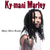 Ky-Mani Marley - Valley of Decision