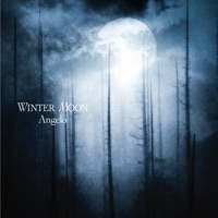 Winter Moon - Single - Angelo