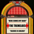 Silence Is Golden (Re-Recorded)
