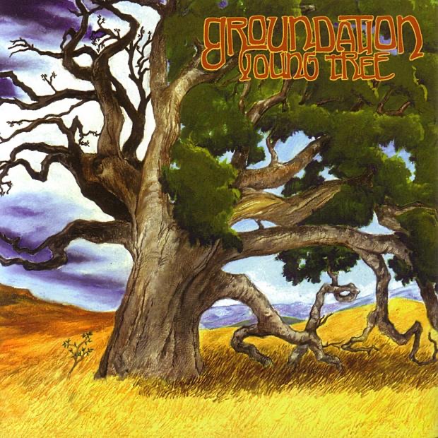 Groundation – Young Tree