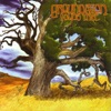 Groundation - Grounding Dub
