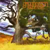 Groundation - Long, Long Ago
