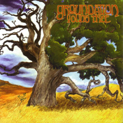 Young Tree - Groundation