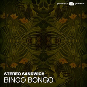 Bingo Bongo - Single
