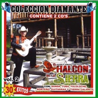 30 Exitos Vol.2 - El Halcon de la Sierra