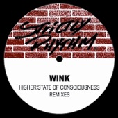 Higher State of Consciousness (Mr Spring'S Maggot Mix) artwork