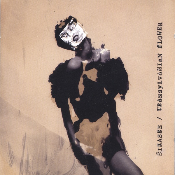 Transylvanian Flower album cover
