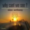 Why Can't We See? - Nino Anthony, Groovenatics lyrics