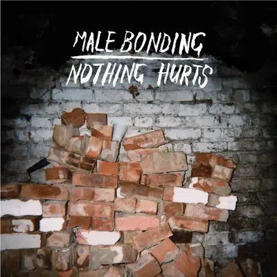 Nothing Hurts - Male Bonding