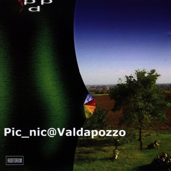 Picnic At Valdapozzo artwork