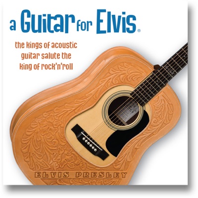 A Guitar for Elvis
