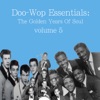 Doo-Wop Essentials Volume 5