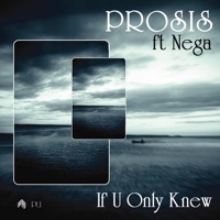 If U Only Knew Remixes (Part 1) [feat. Nega] - Prosis