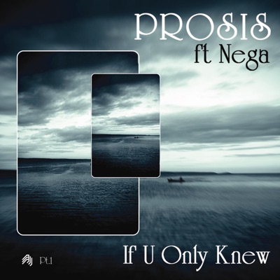 If U Only Knew Remixes (Part 1) [feat. Nega]
