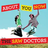 About You Now — The Saw Doctors