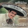 Vicente Fernández - El Oficio de Amar