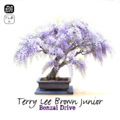 Cover art for Bonzai Drive - EP by Terry Lee Brown Junior