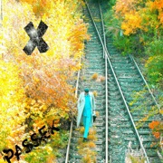 X: Crossroads - Thorsten Passek